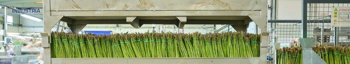 Industria agroalimentaria